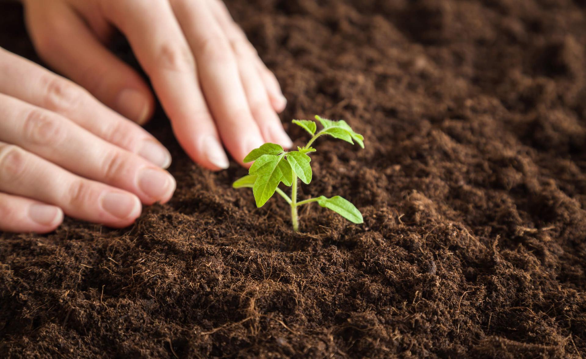 Scopri tutti i nostri progetti