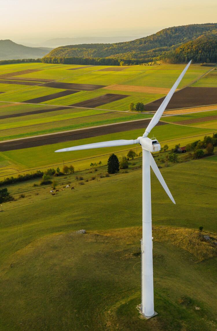 Pagina Capitale finanziario