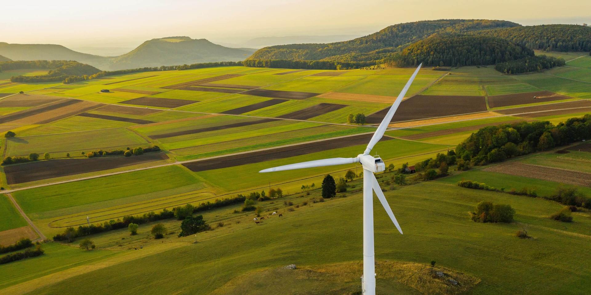Pagina Capitale finanziario