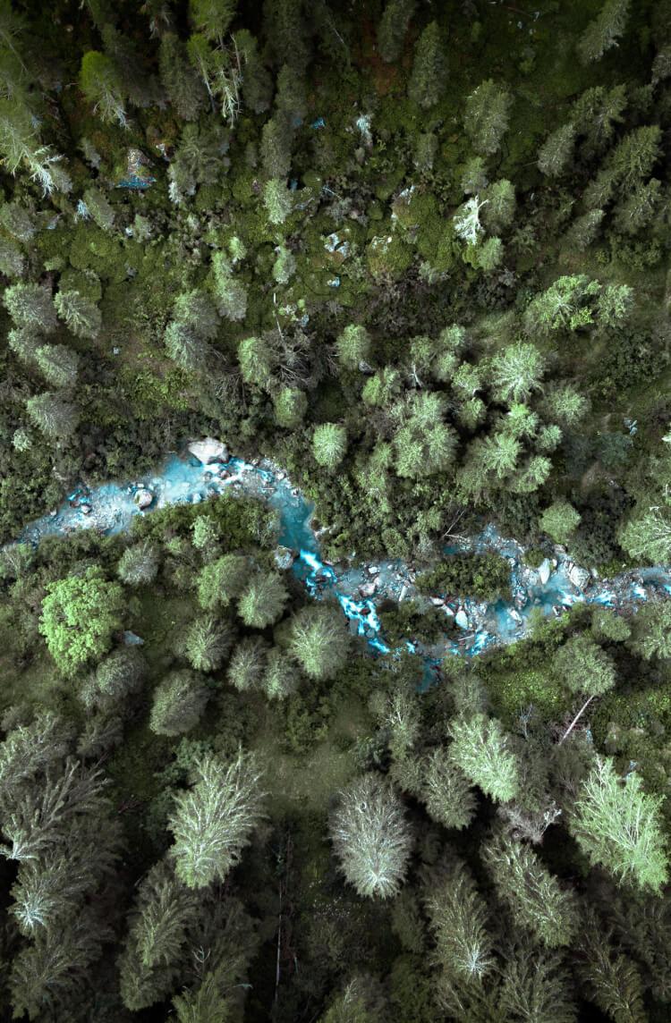 Pagina Capitale naturale