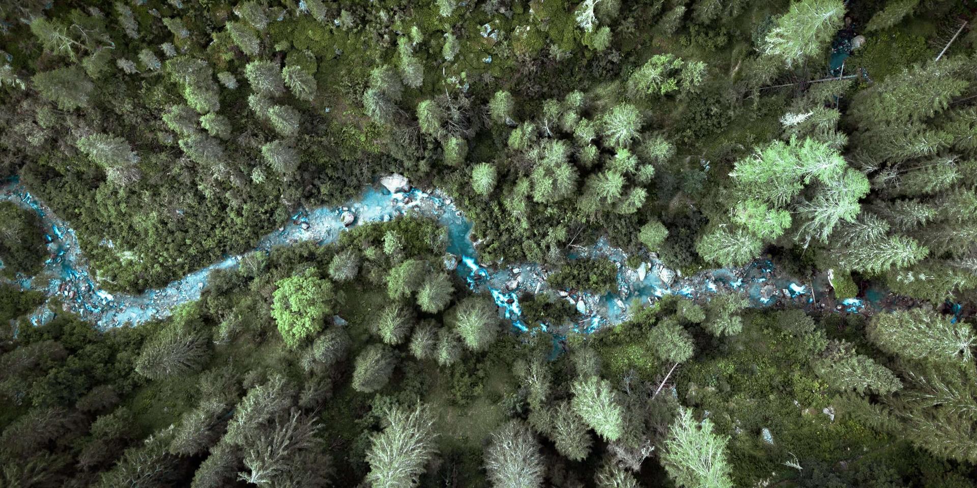 Pagina Capitale naturale